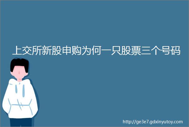 上交所新股申购为何一只股票三个号码